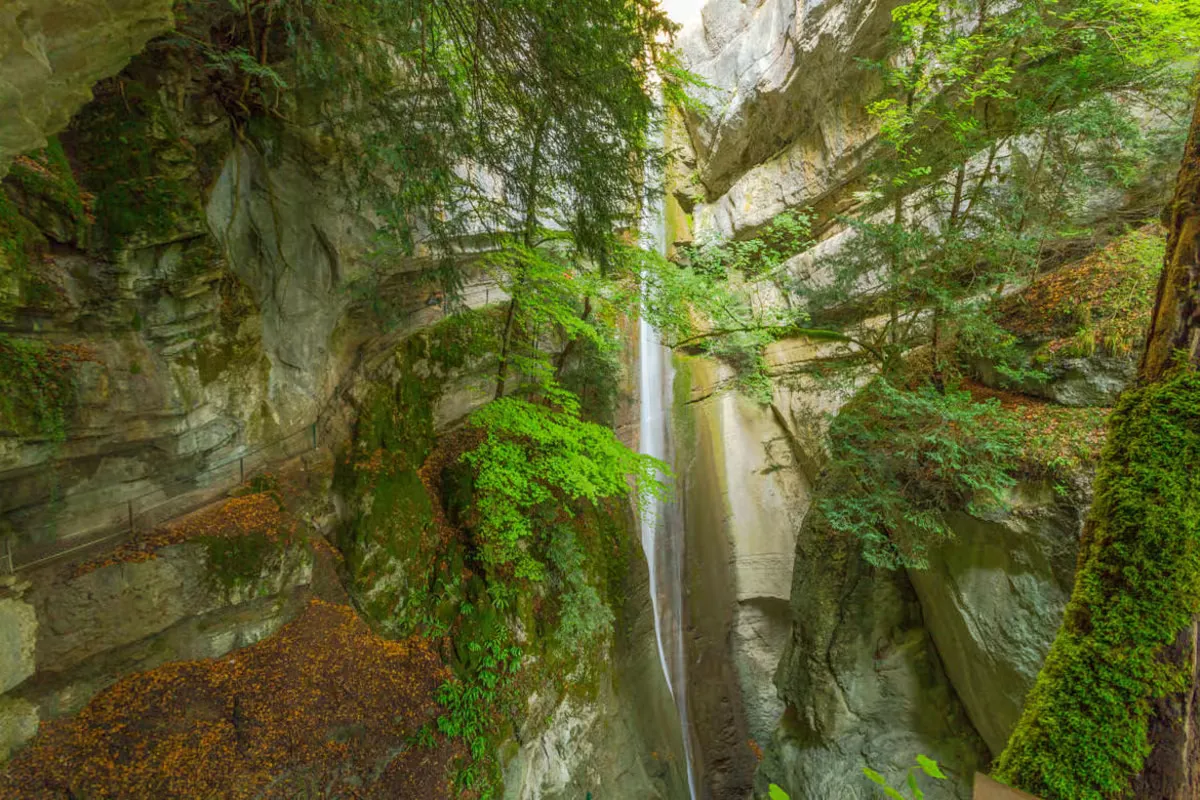 Rivière de montagne